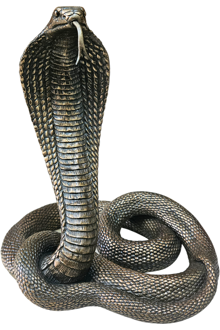 Cobra veronese 1