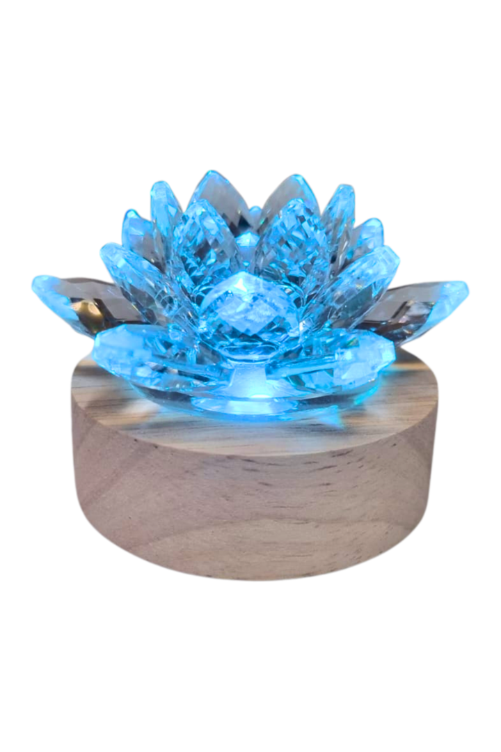 Flor lotus cristal base usb color 4