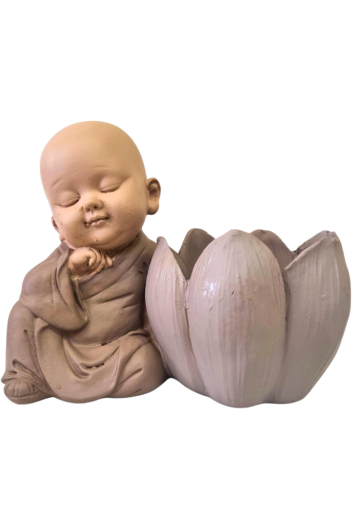 Rechot monge lotus 3
