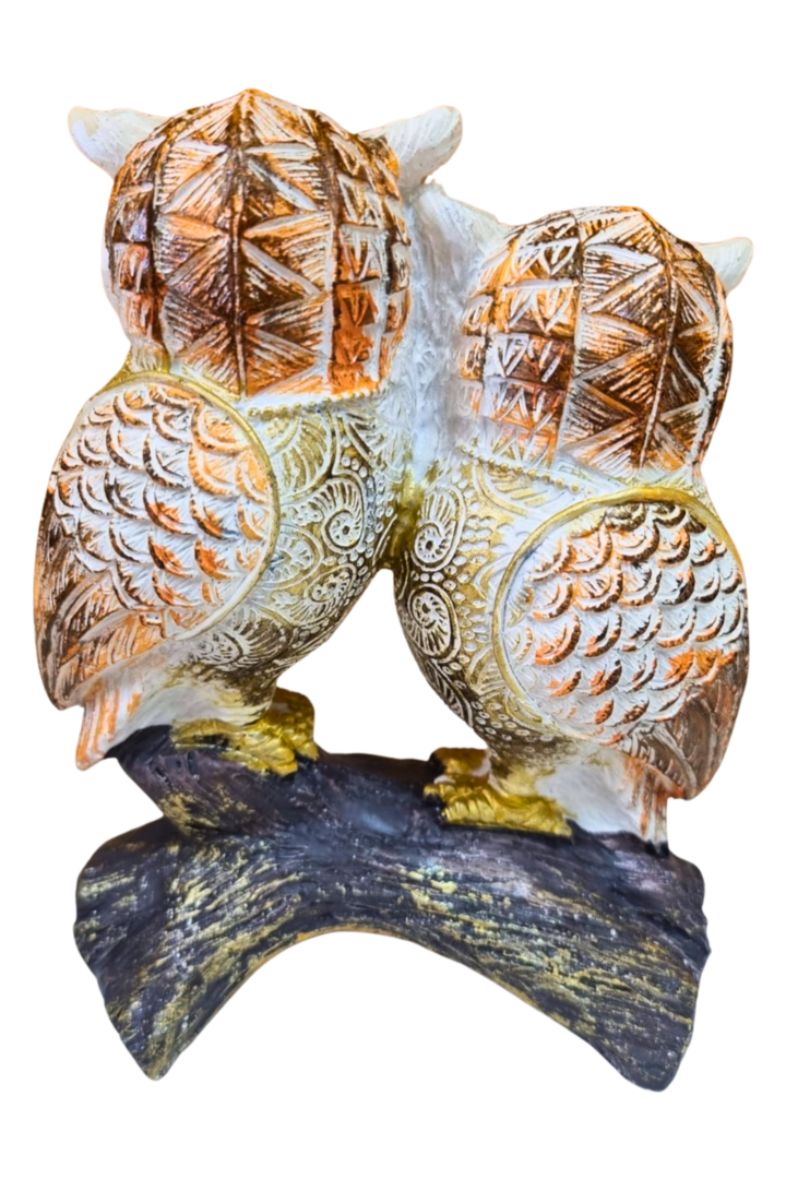 Casal coruja no tronco 3