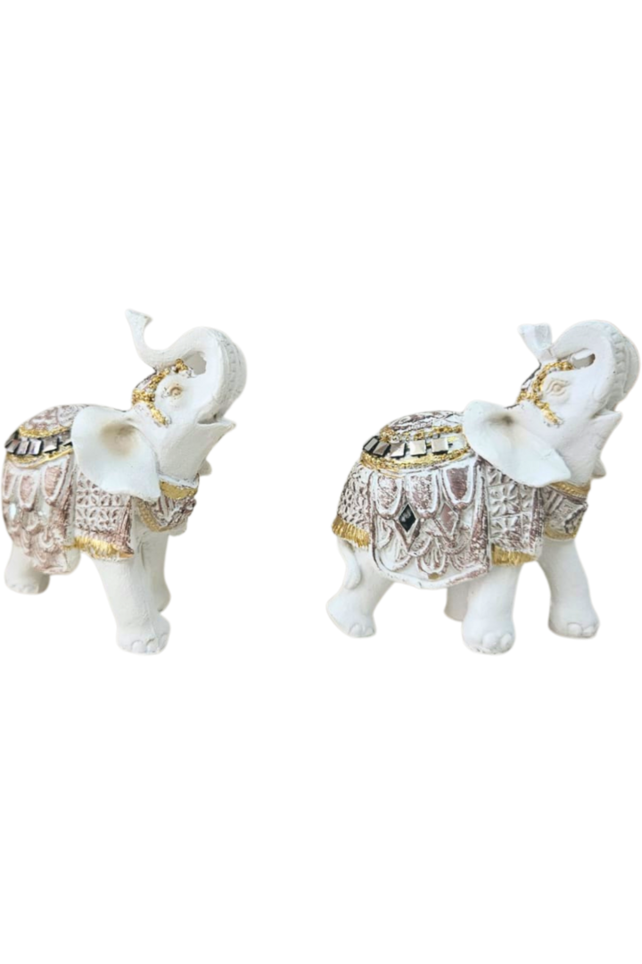 Elefante branco 1