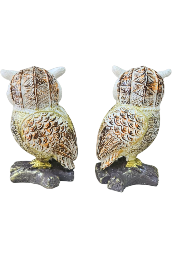 Coruja no tronco med 2