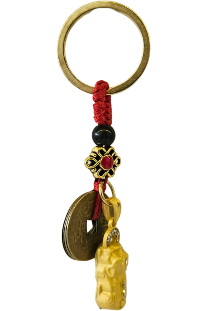 Leao guardiao 0751 1