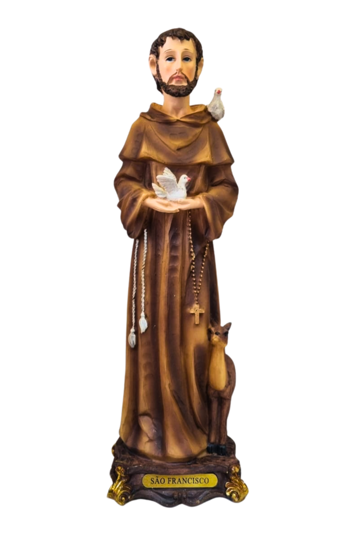 Sao francisco 32cm 1