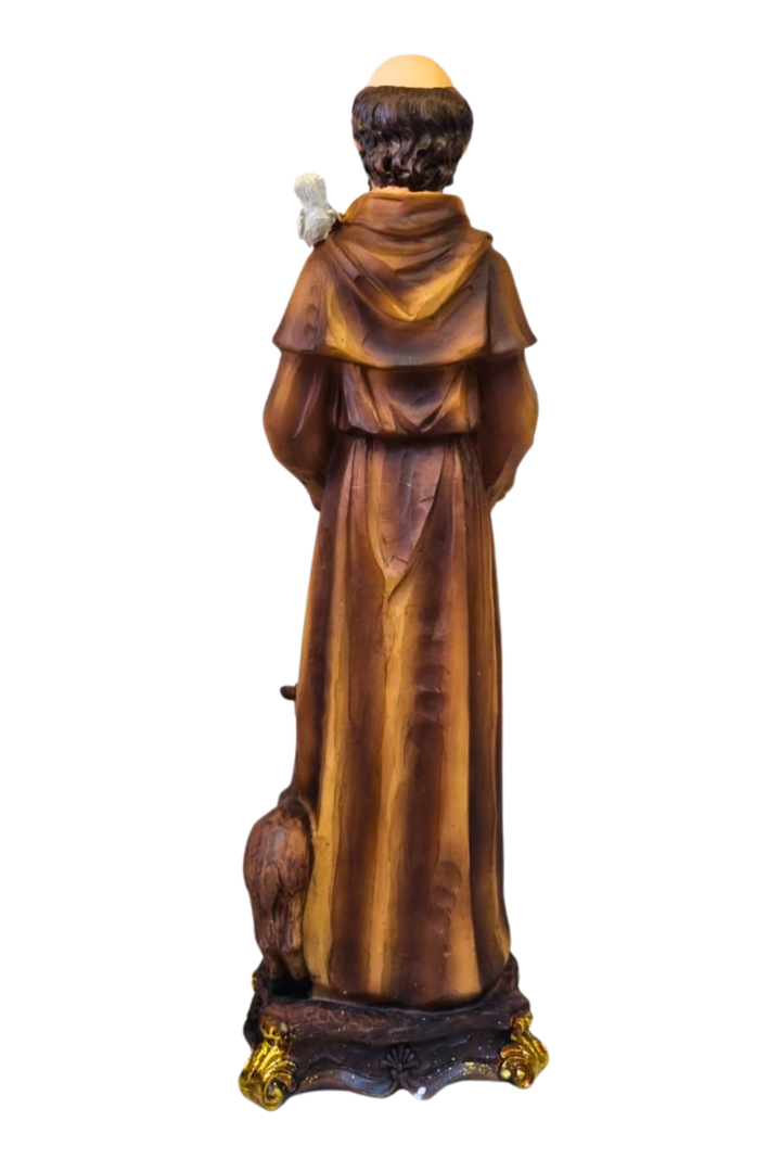 Sao francisco 32cm 3