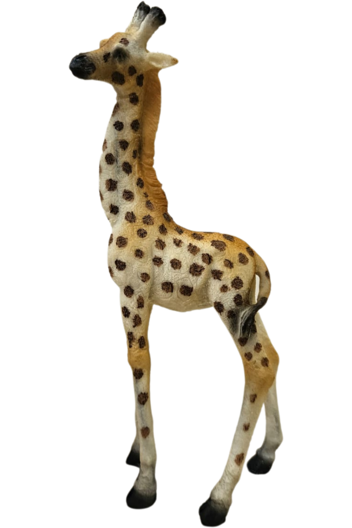 Girafa 2