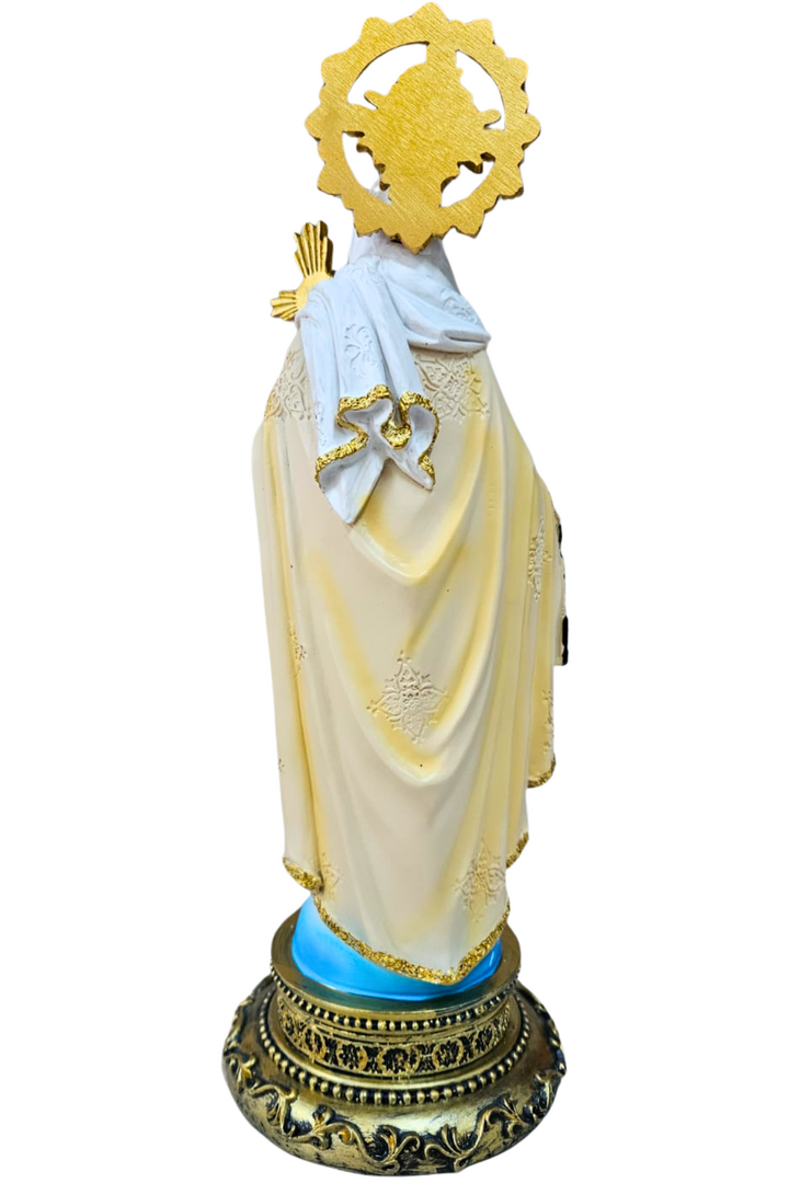 Nossa senhora do carmo 30cm 2