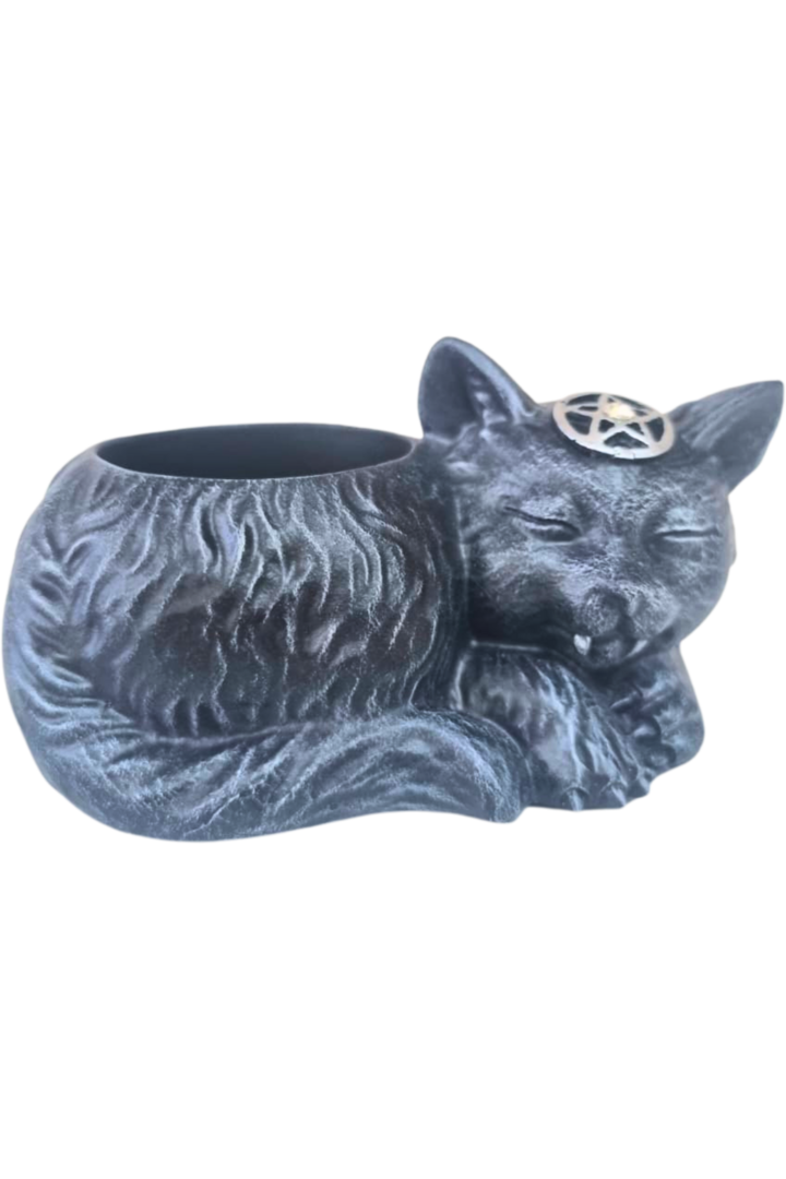 Rechot gato 1