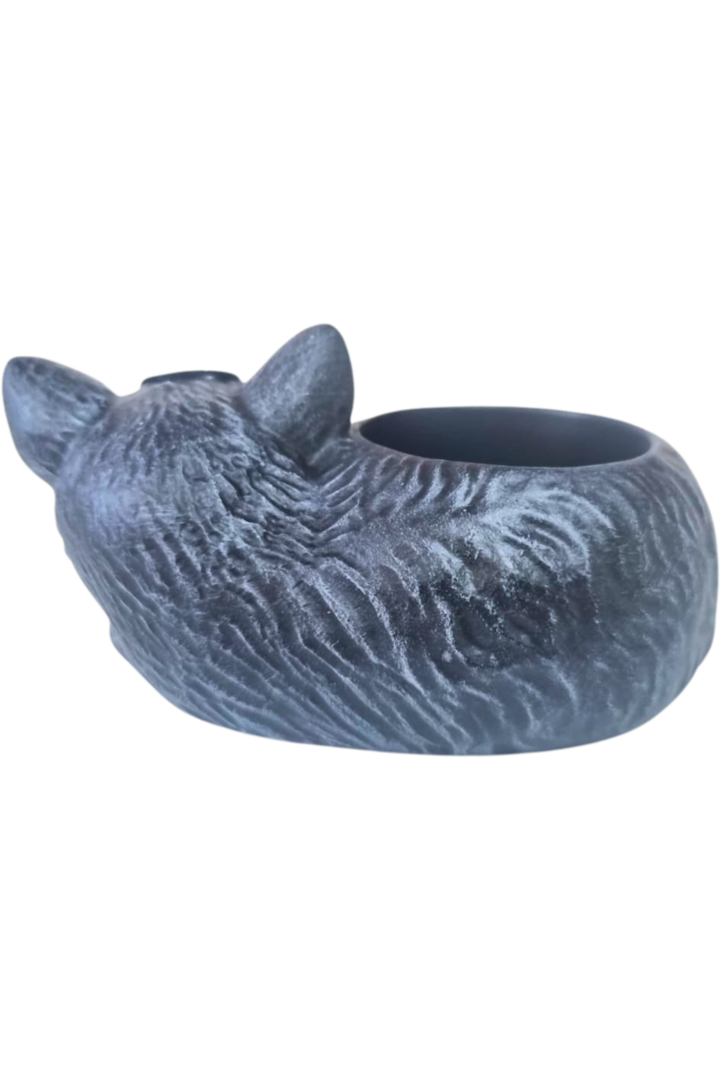 Rechot gato 2