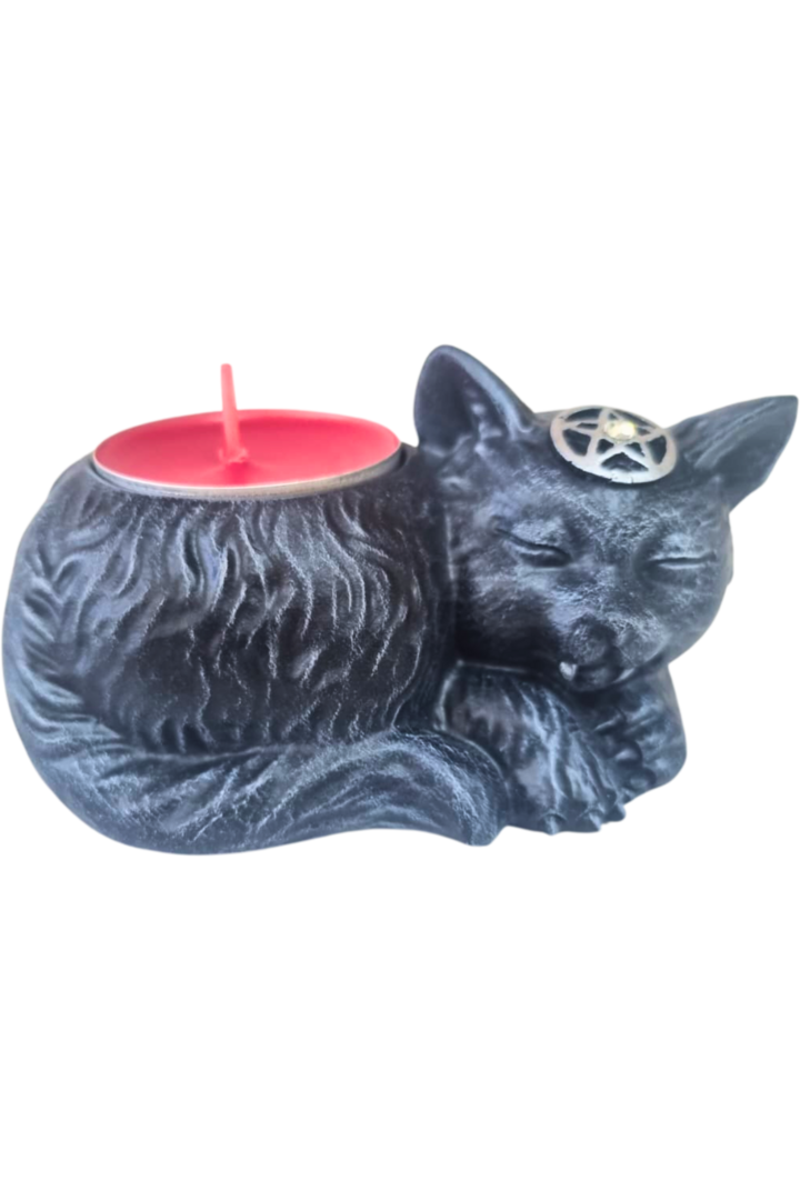 Rechot gato 3