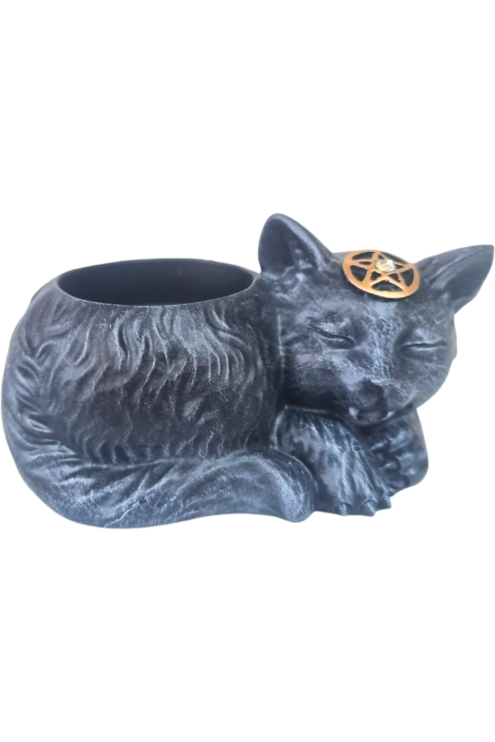 Rechot gato 4
