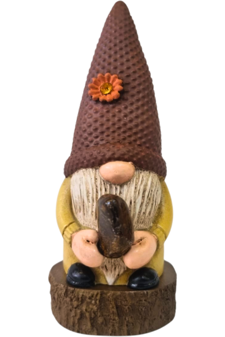 Gnomo olho de trigre 1