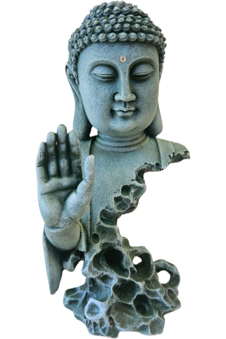 Buda busto mao 1