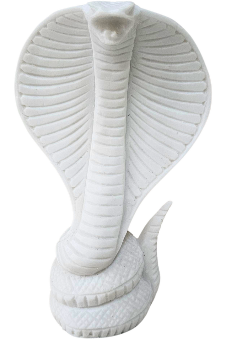 Cobra naja 1