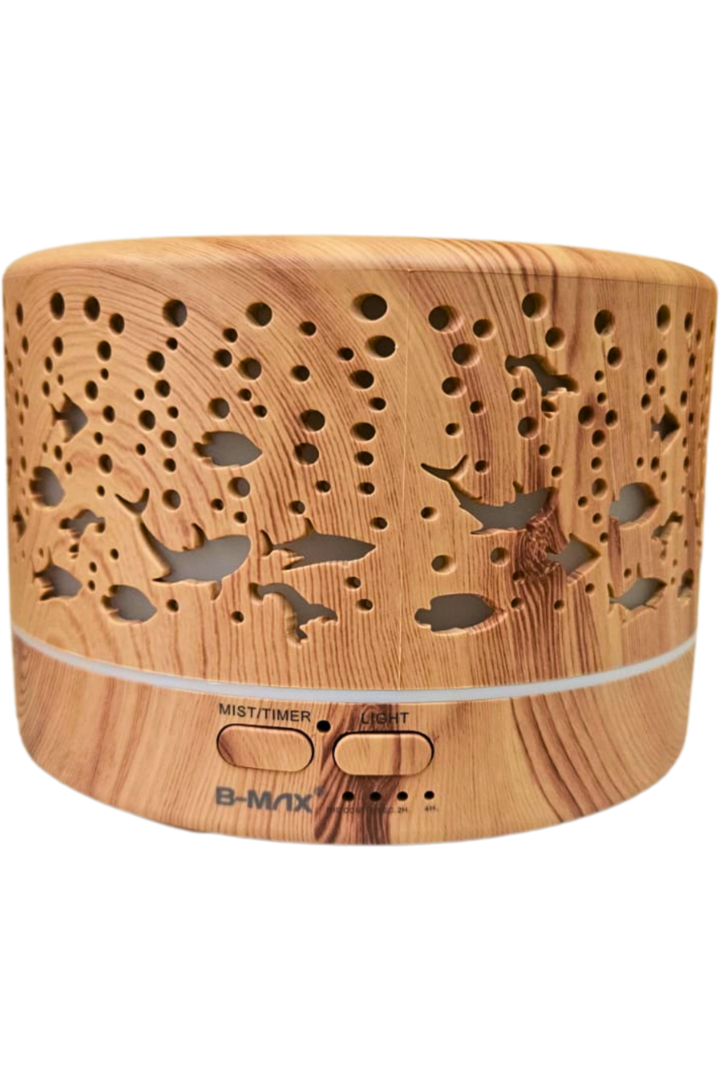 Umidificador de ambiente 1