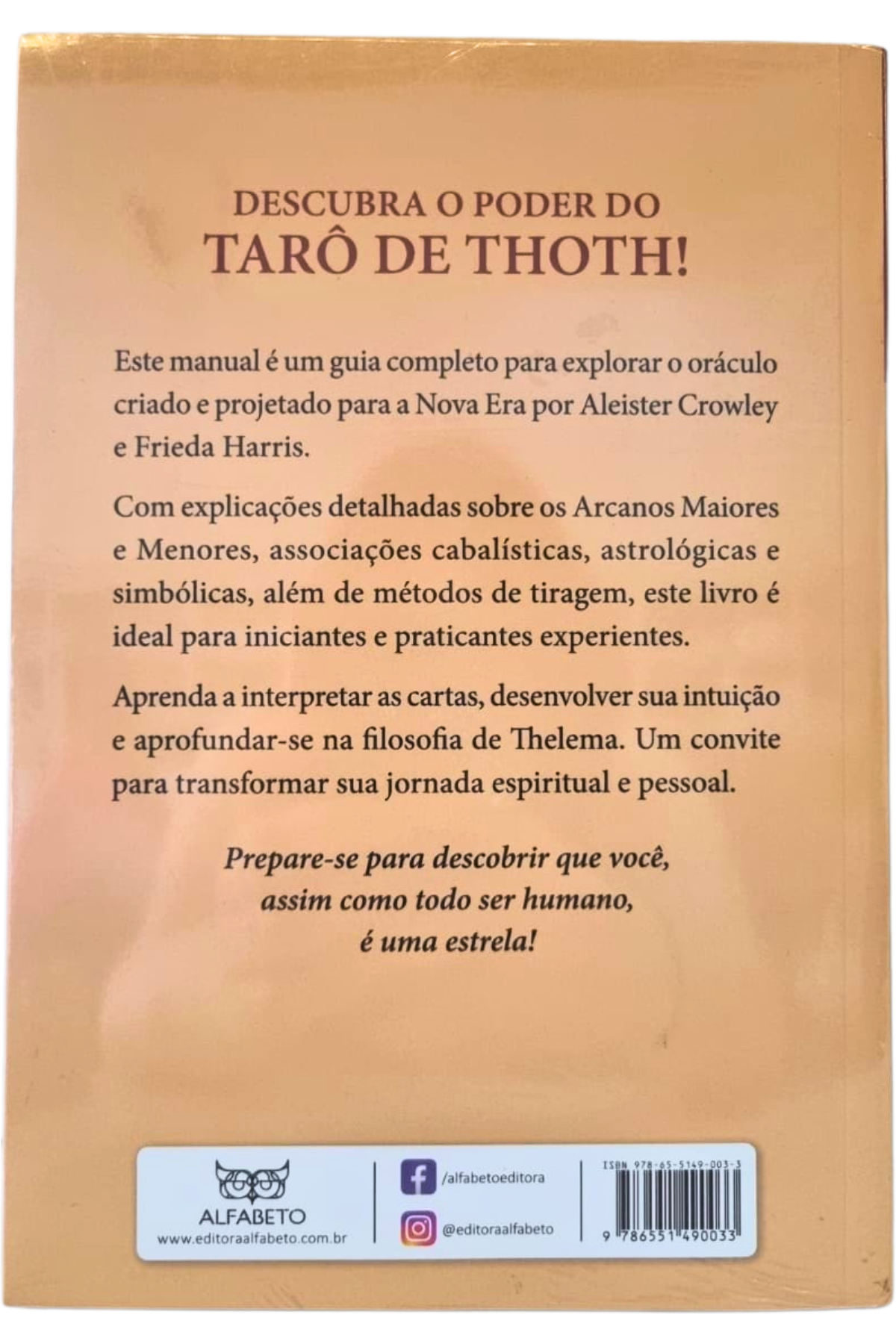 Manual do taro de thoth 2