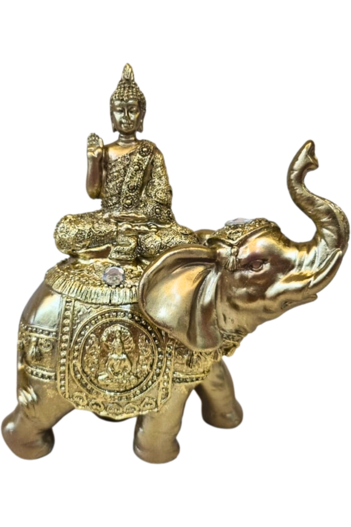 Buda no elefante 1