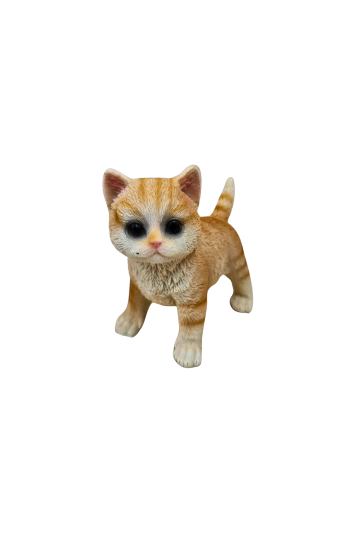 Gato em pe laranja 1