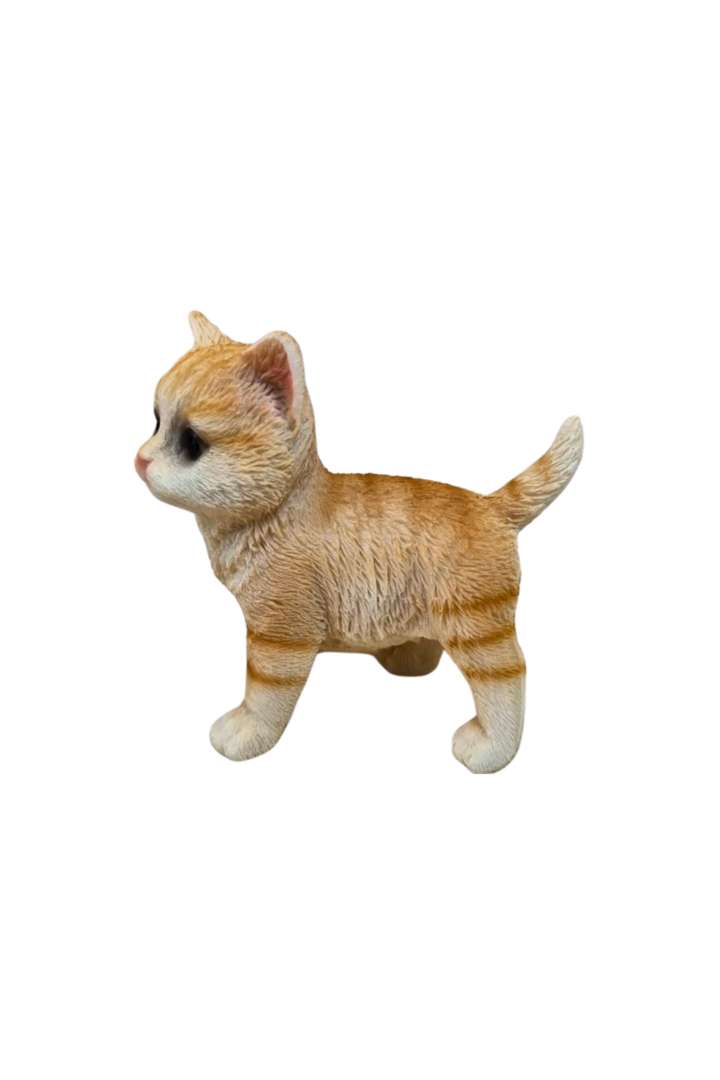 Gato em pe laranja 2
