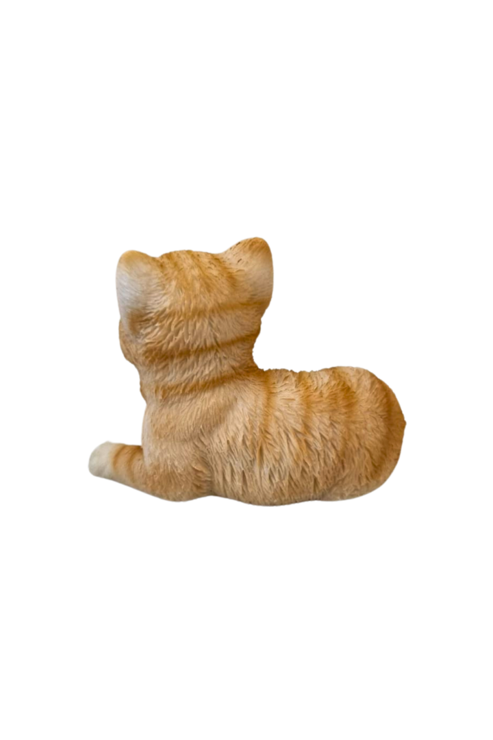 Gato deitado laranja 2
