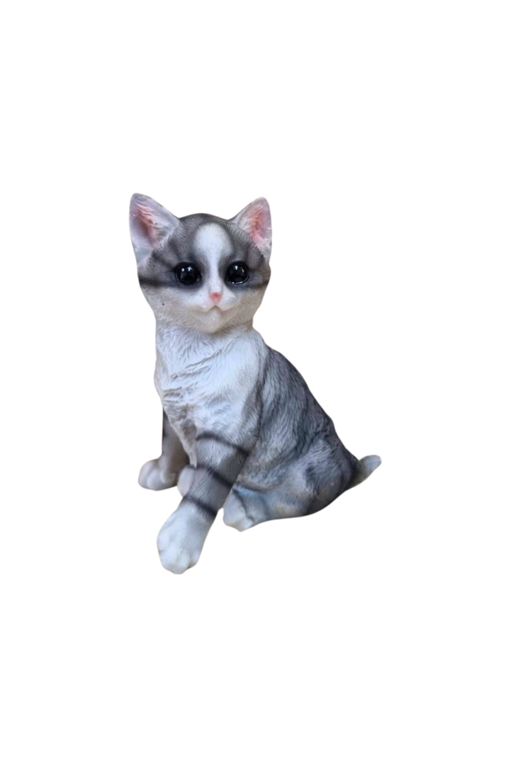 Gato sentado cinza 1