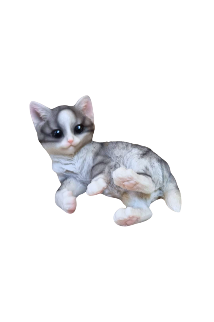 Gato deitado cinza 1