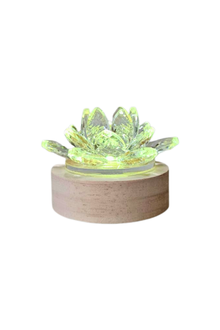 Luminaria lotus 1