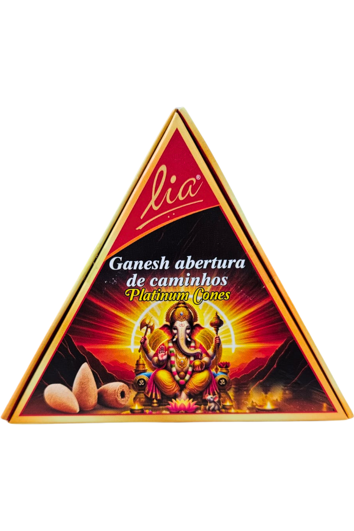 Ganesh abre 1