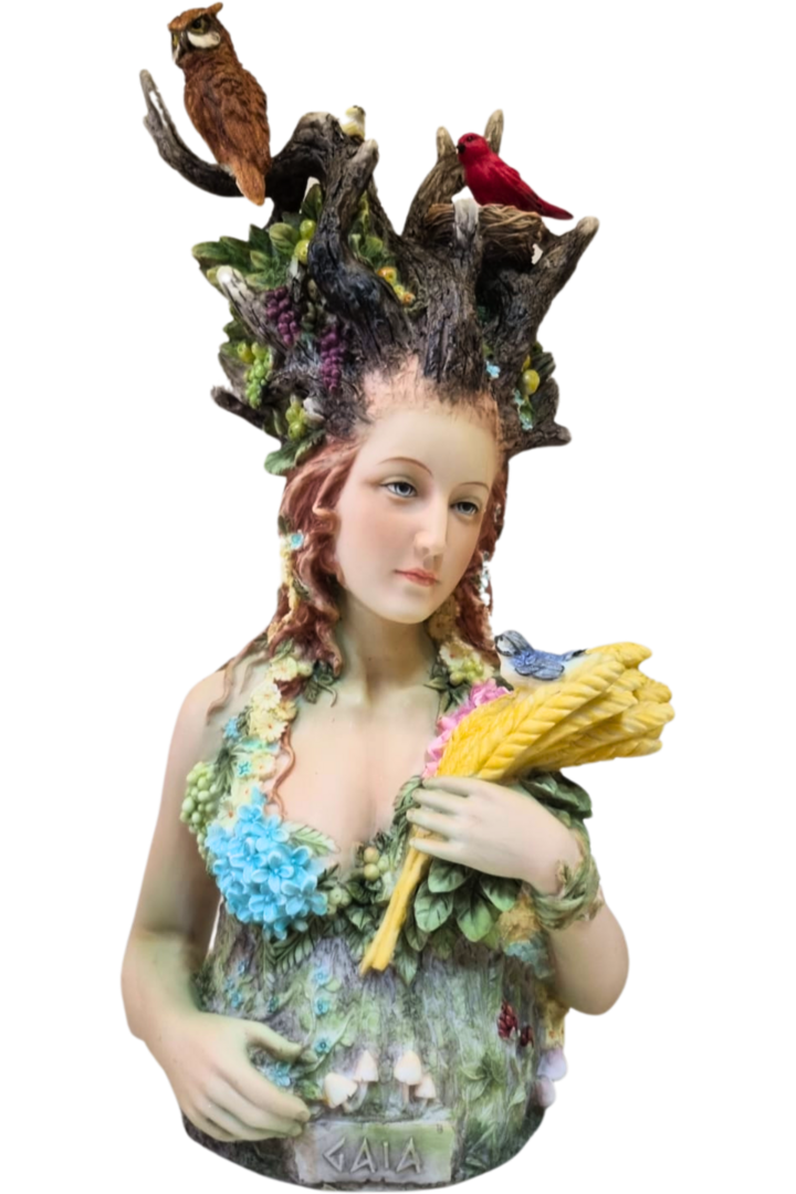 Gaia 1