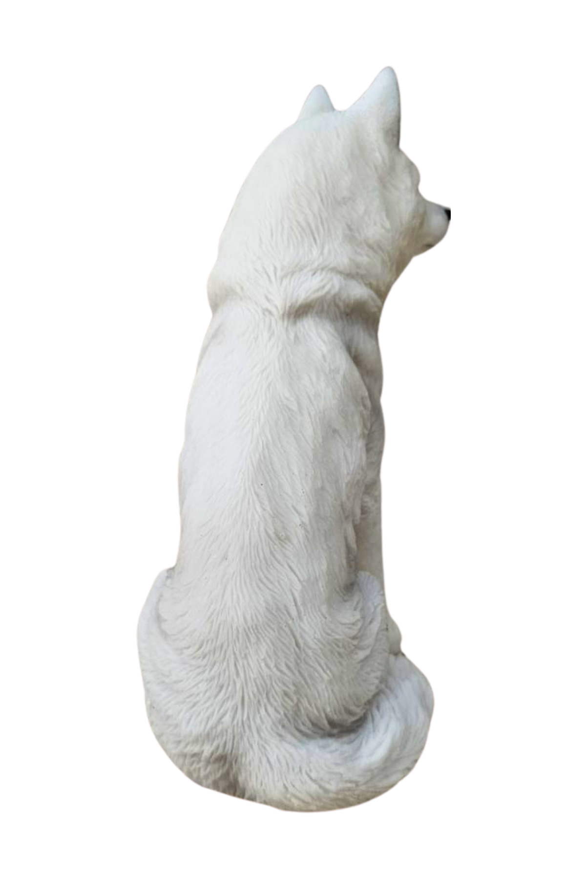 Lobo 18cm 2