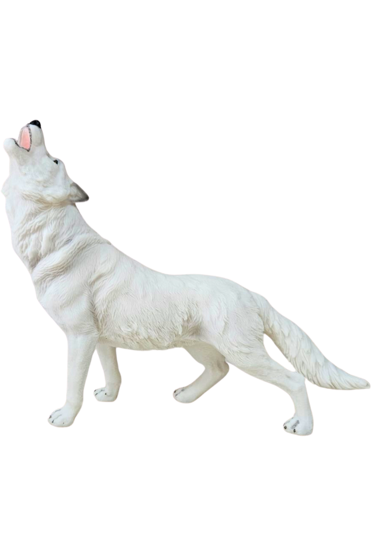 Lobo artico 1