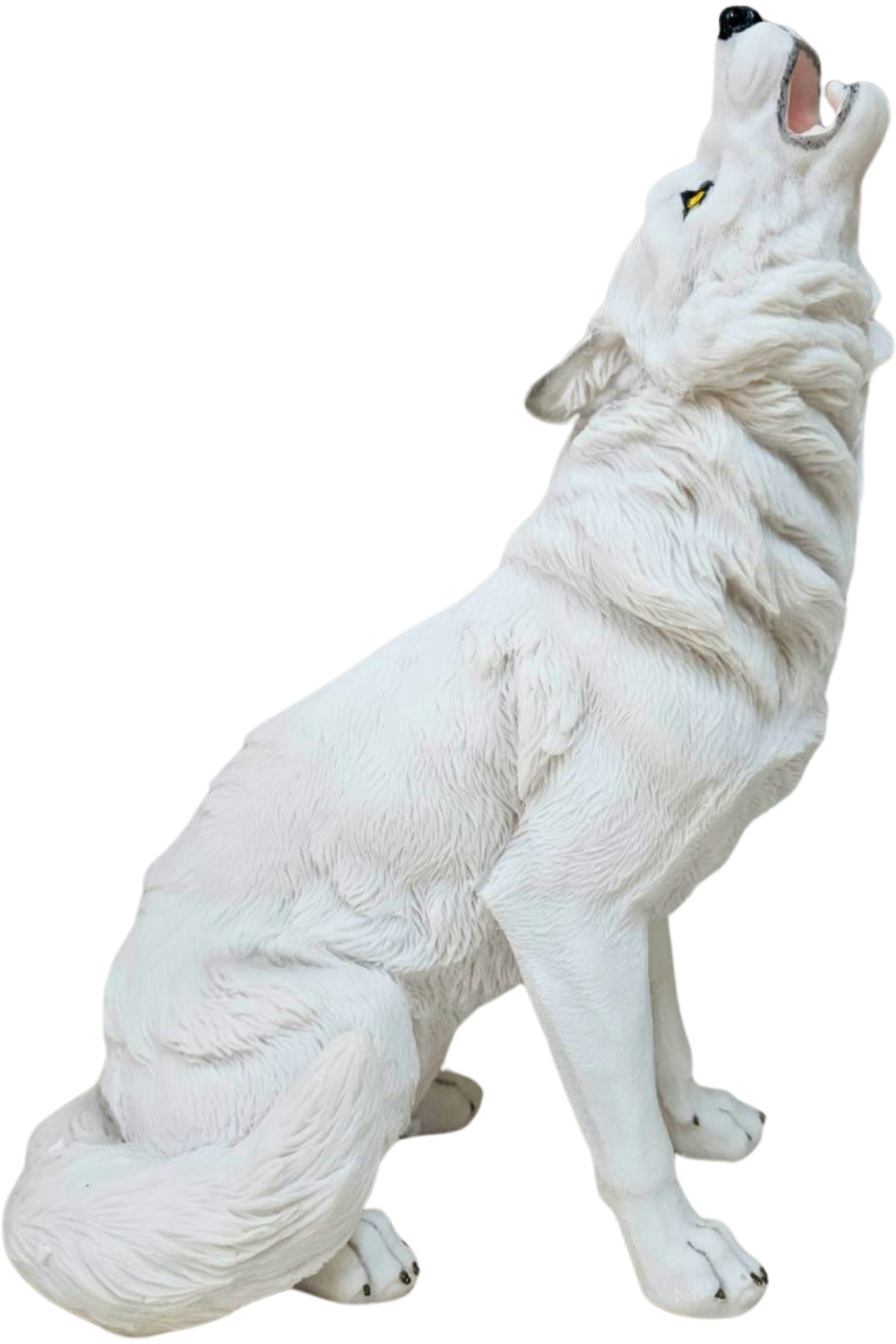 Lobo uivando 1