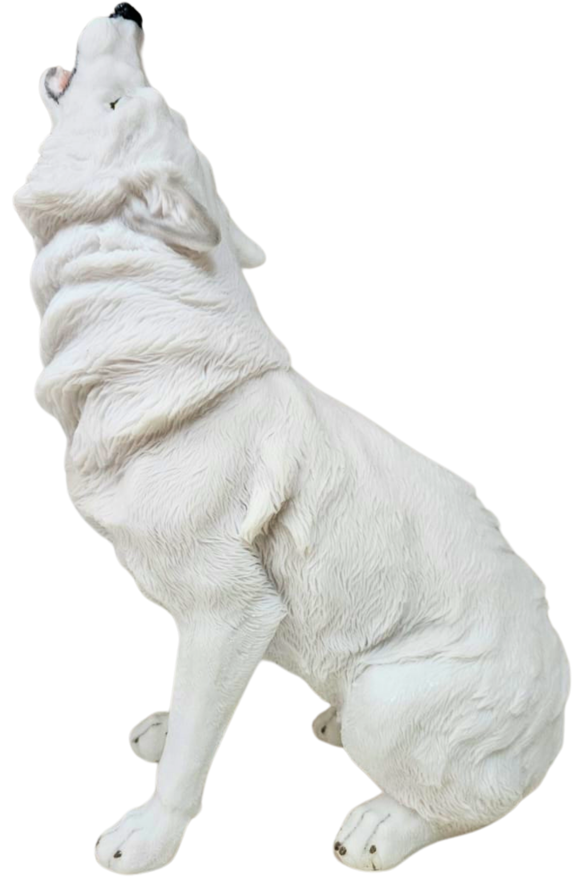 Lobo uivando 2