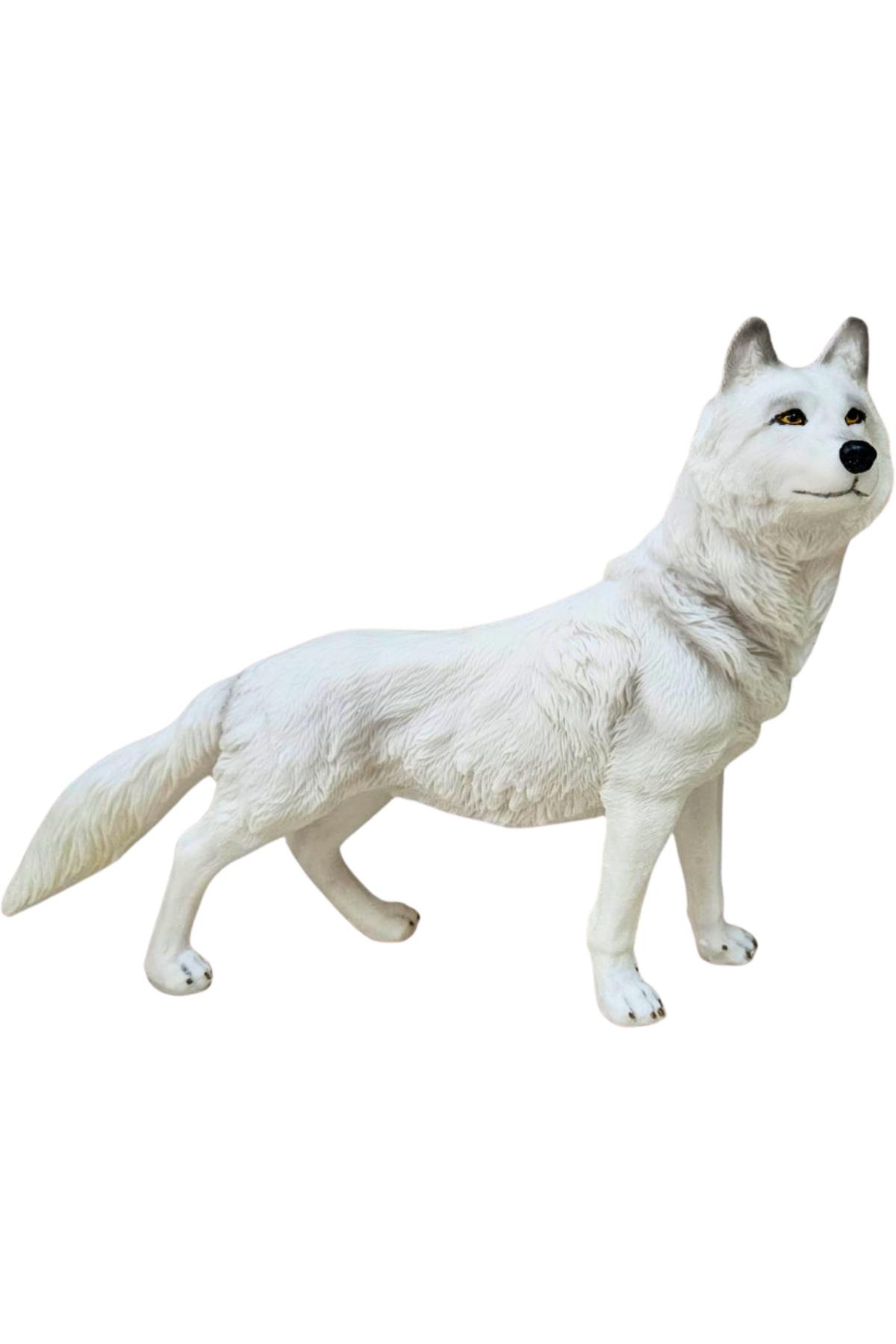 Lobo em pe 1