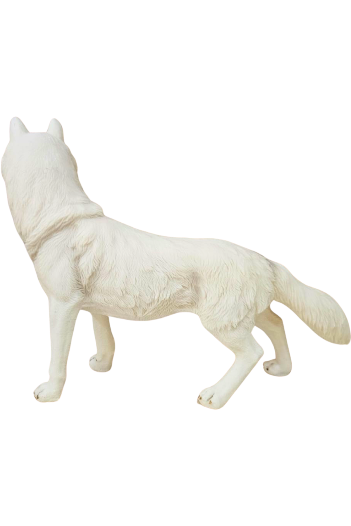 Lobo em pe 2