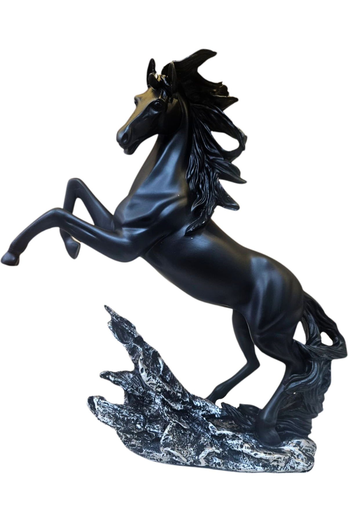 Cavalo preto 1