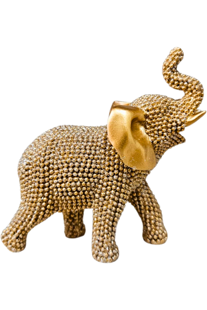 Elefante 100 1