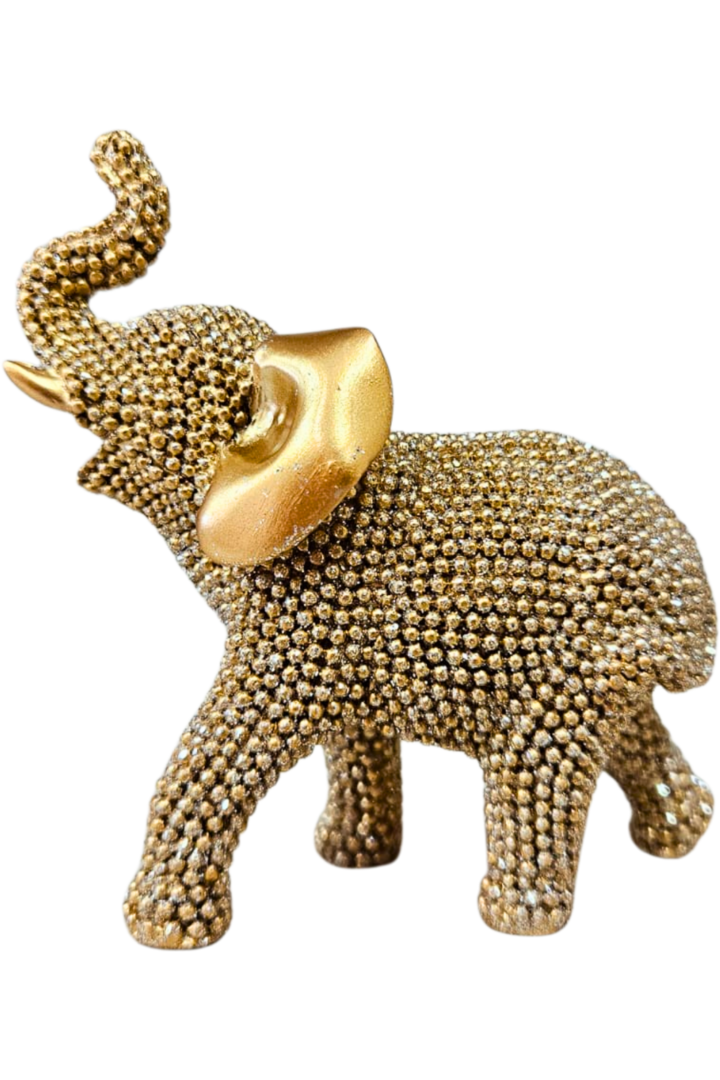 Elefante 100 2