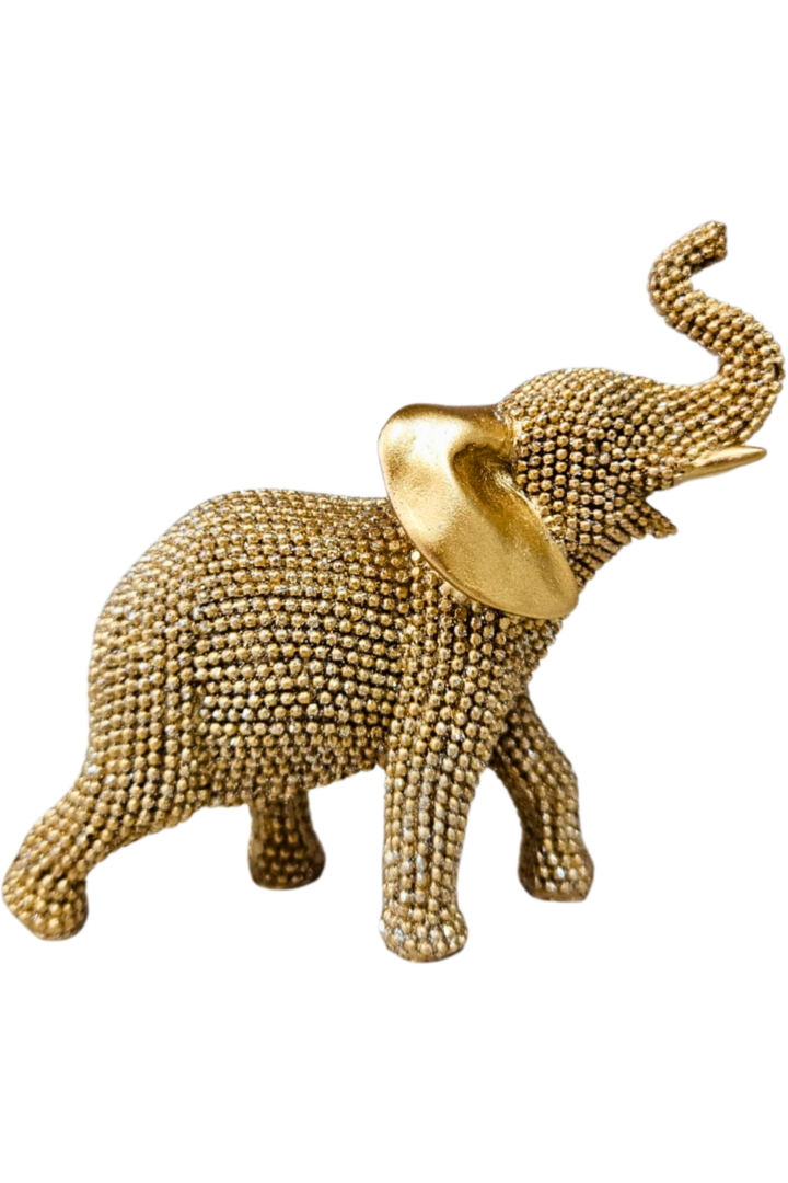 Elefante 200 1