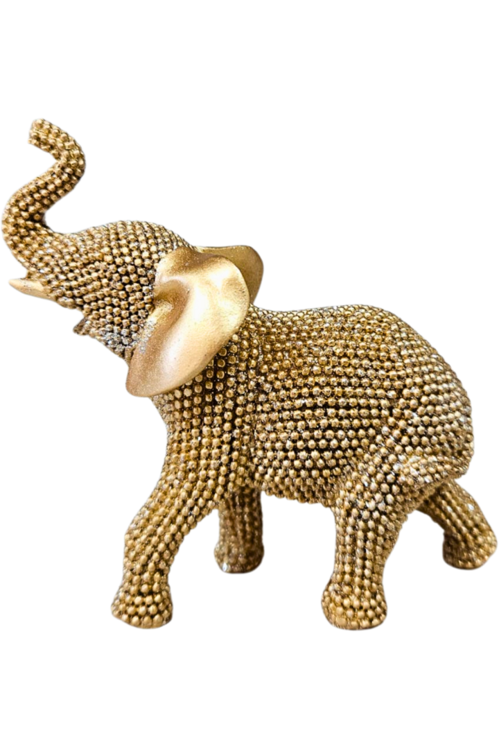 Elefante 200 2