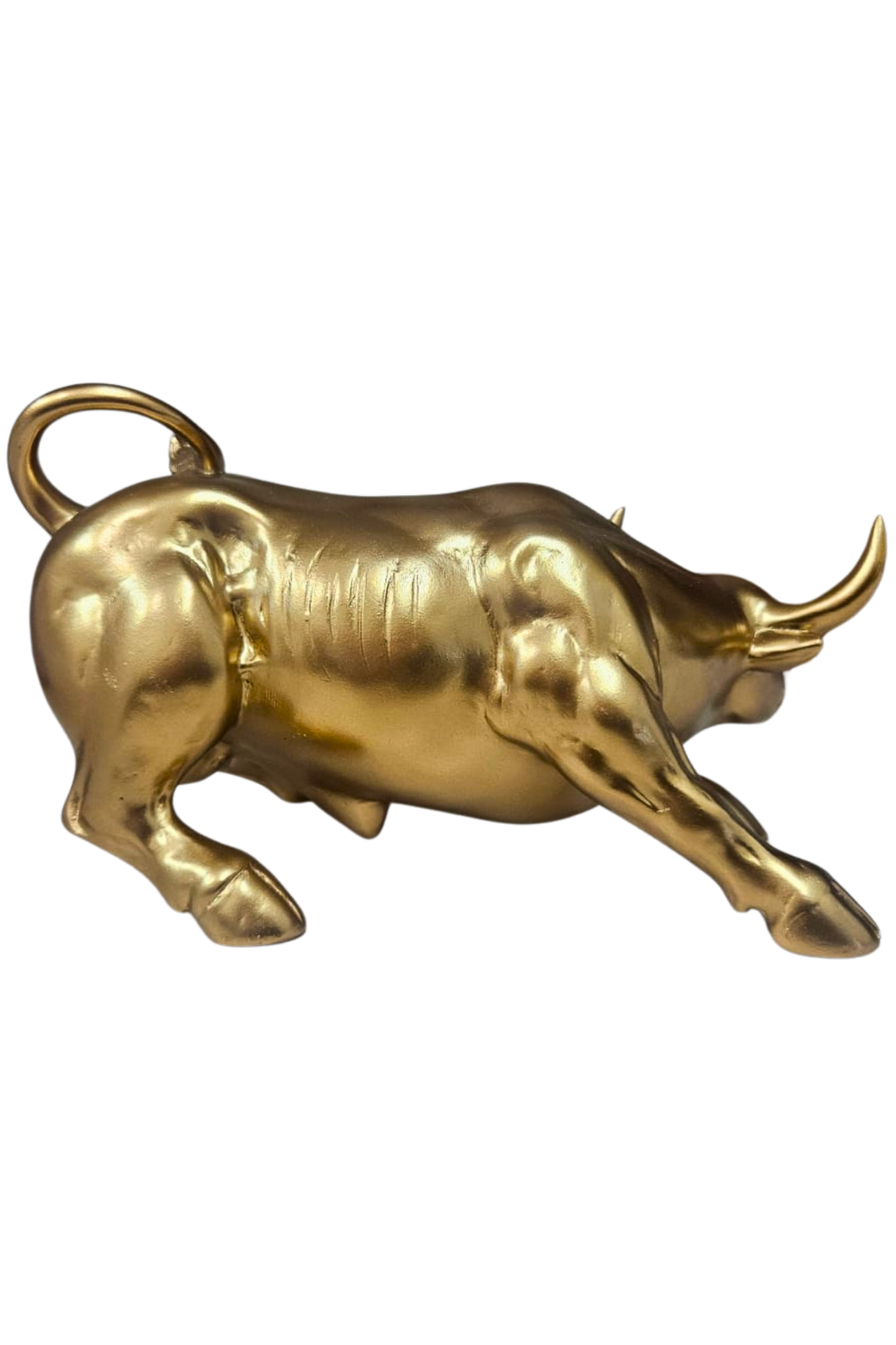 Touro dourado 3