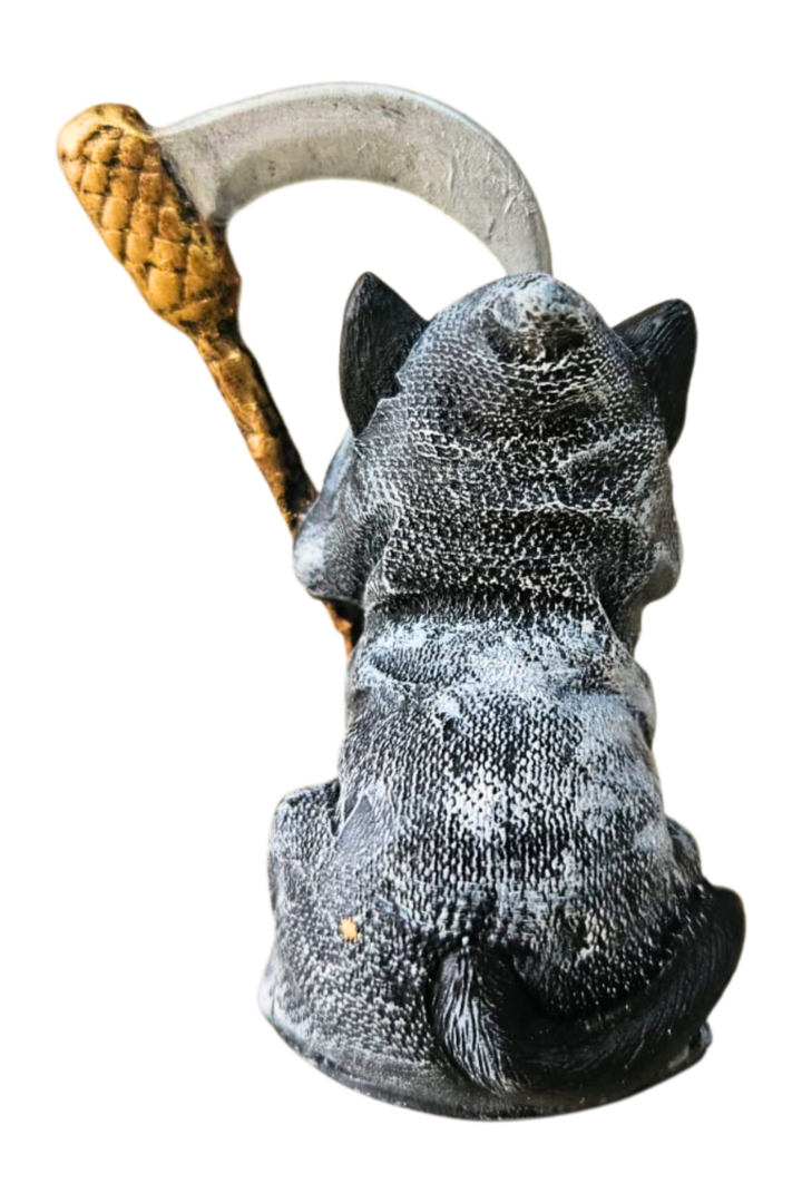 Gato ceifeiro 2