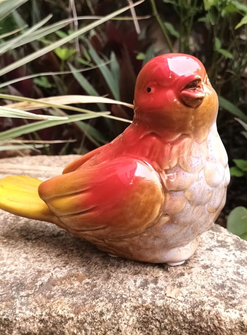 Passarinho g382382 2