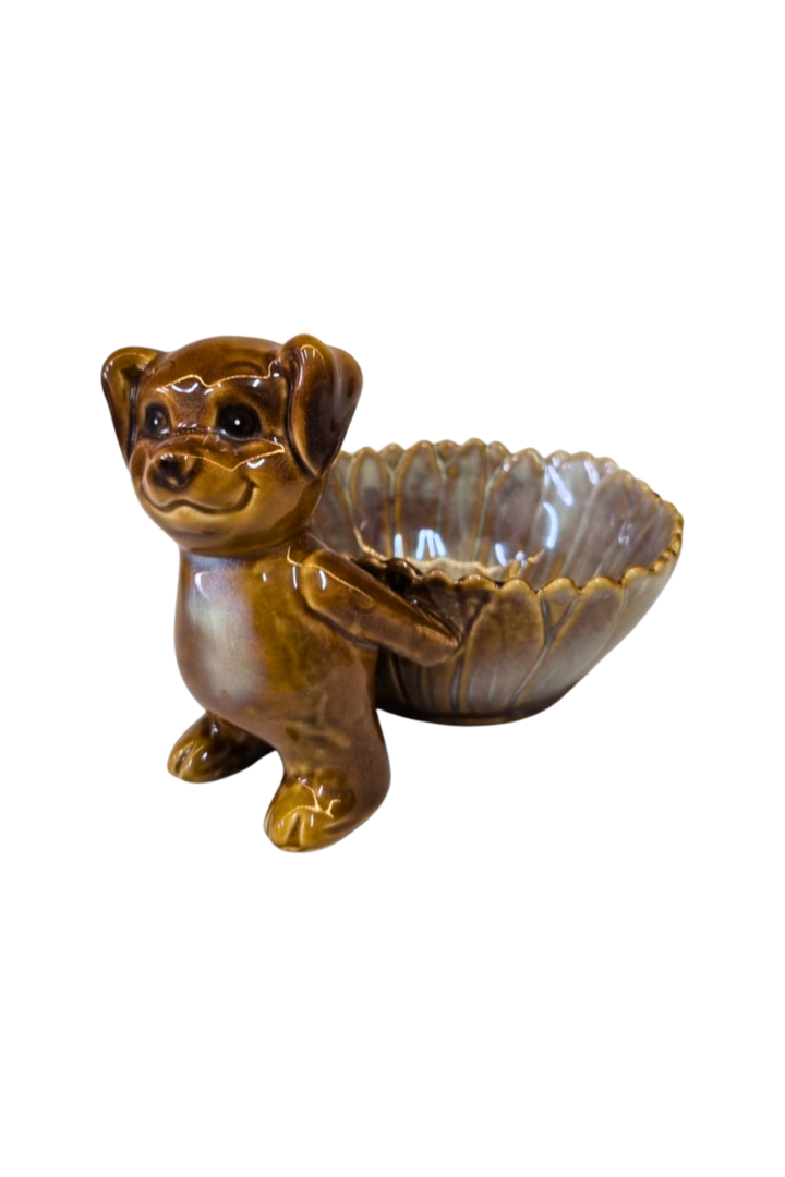 Cachorro petiskeira 1