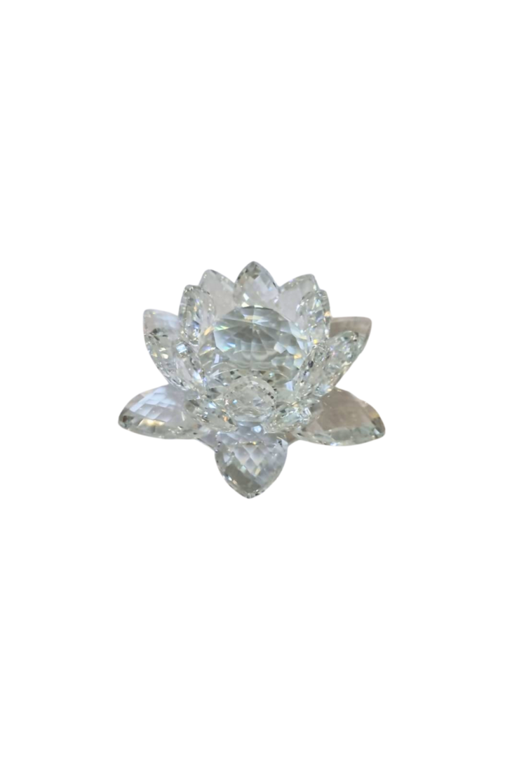 Flor de lotus 1