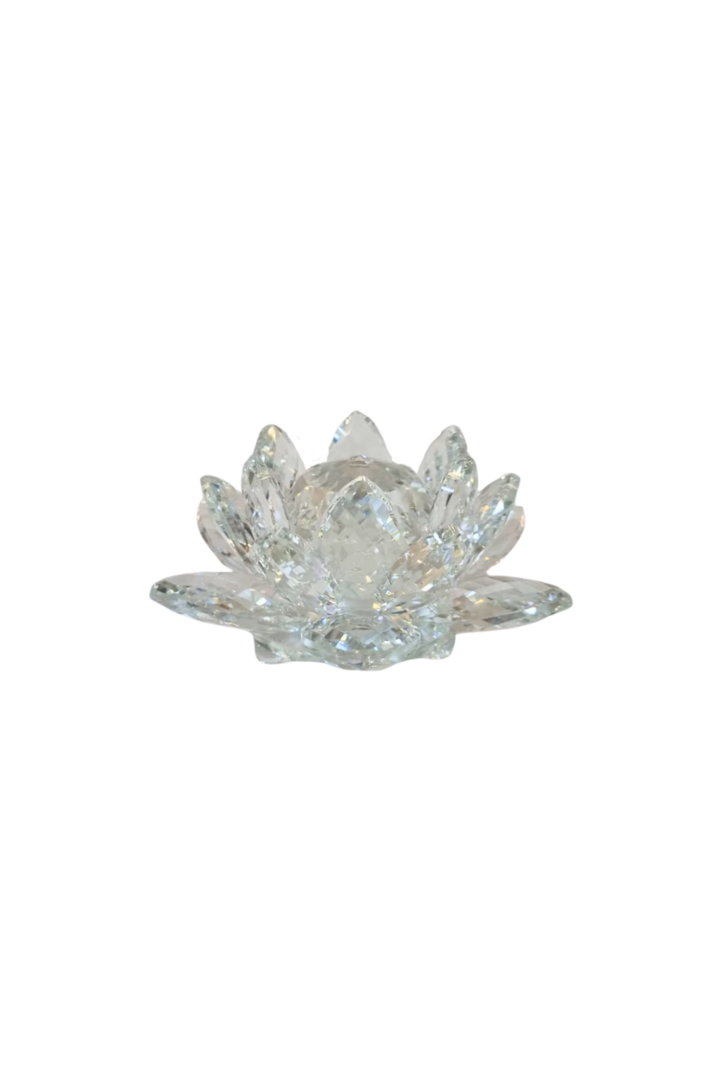 Flor de lotus 2