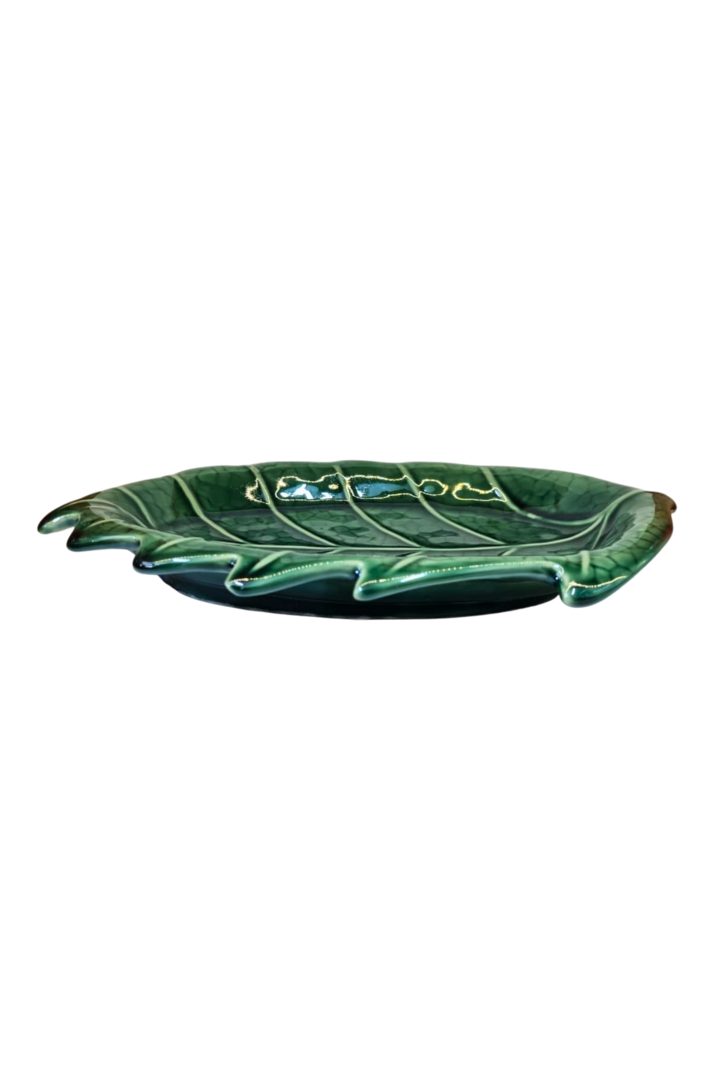 Fruteira folha verde rasa 1