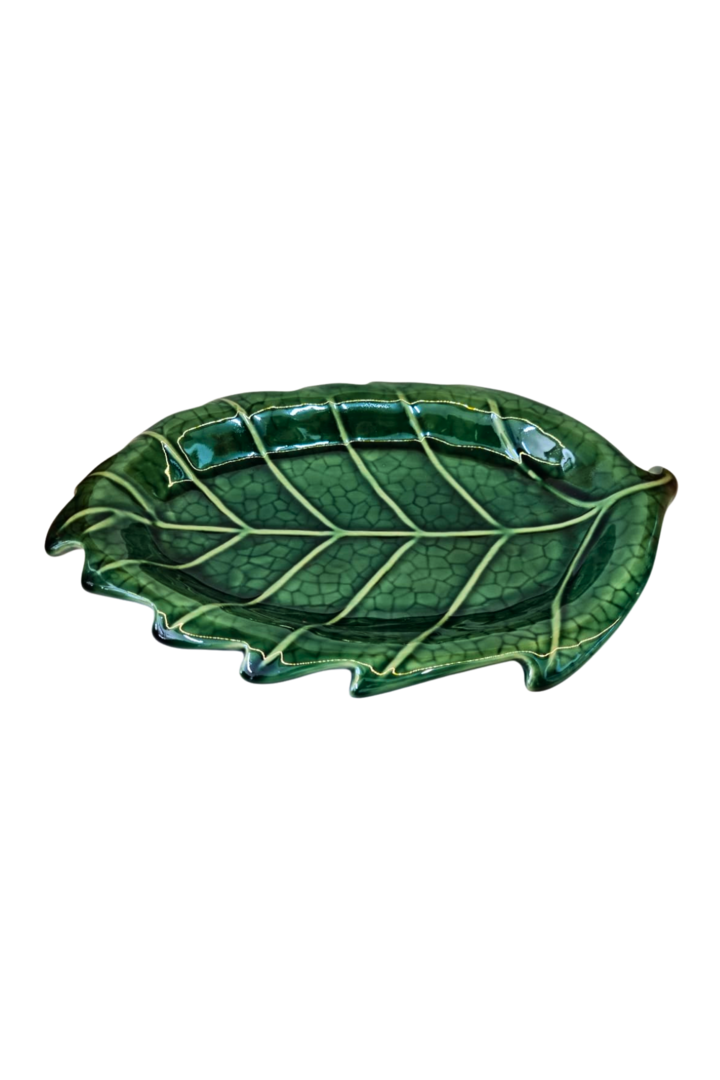 Fruteira folha verde rasa 2