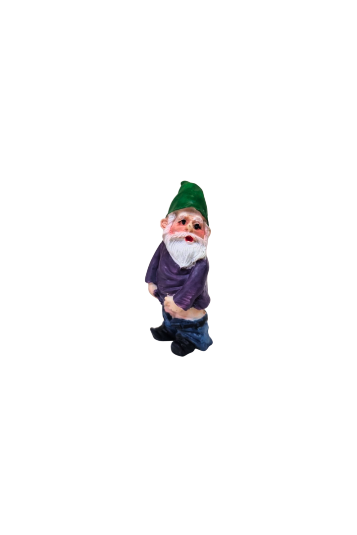 Gnomos na fogueira 4