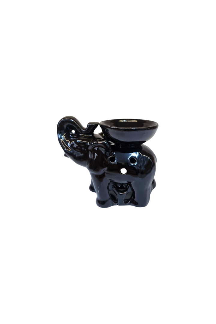Rechot elefante 1